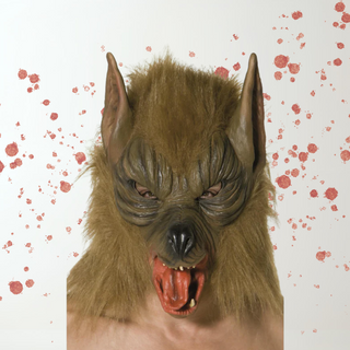 Adults Werewolf Mask – Brown Furry Wolf Halloween Mask The Party Hut | Balloons, Fancy Dress & Party Supplies Cheltenham
