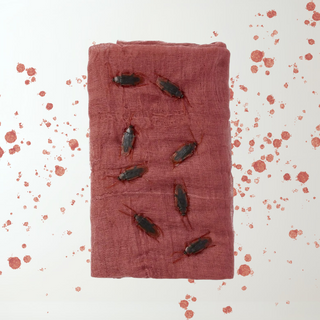 Halloween Creepy Cloth with Cockroaches – Spooky Party Decoration The Party Hut | Balloons, Fancy Dress & Party Supplies Cheltenham